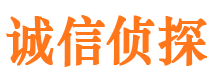 安岳找人公司